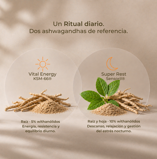 RITUAL COMPLETO — PACK 3 FASES