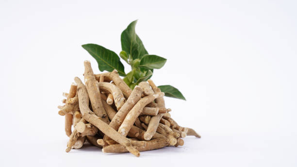 ASHWAGANDHA SENSORIL®