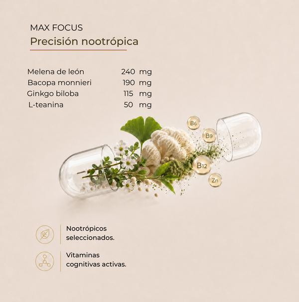 MAX FOCUS